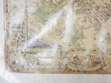a picture of a map on the wall of a room