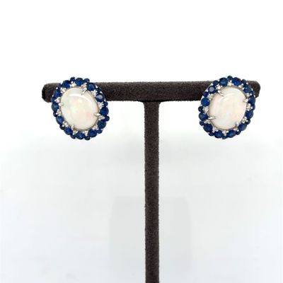 a pair of blue and white stone earrings on a black stand