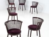 Plusieurs chaises sont disposées en cercle dans une pièce blanche.