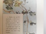 a picture of a book with a picture of grapes on it