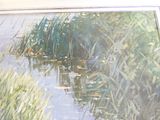 une photo d'un tableau représentant un étang dans l'herbe