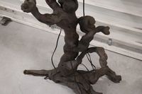 Cep de vigne ou racine montée en lampadaire de style brutali… (photo 2)
