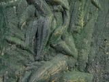 a close up of a statue of a man and a dog