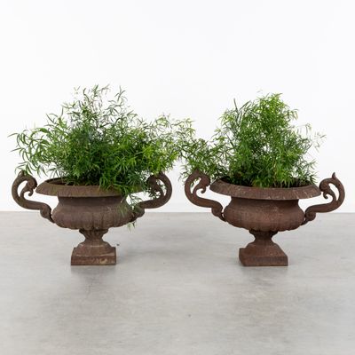 two large urns with plants in them on a concrete floor