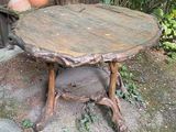 a table made out of a tree stump and a potted plant