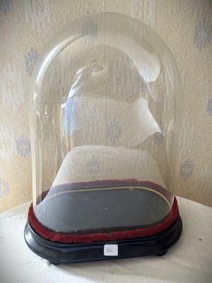 un lit placé sous un dôme de verre, posé sur une table