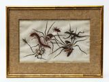 an image of a picture of insects in a frame on a white background
