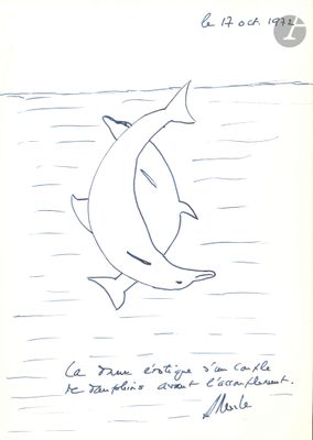 DESSINS D’ÉCRIVAINS. 8 dessins originaux, signés, avec légen…