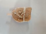 a baseball mitt with a baseball in it on a table