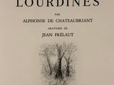 the front cover of a book with a picture of trees in the background
