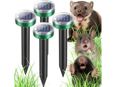 quatre types différents d'animaux à énergie solaire dans l'herbe