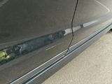 a close up of a car door with a bunch of broccoli sticking out of it