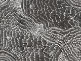 an image of a black and white drawing of a pattern