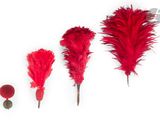 three red feathers are arranged on a white surface