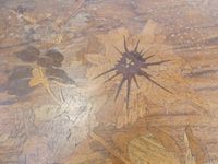 Emile GALLE ( 1846-1904) Table en bois naturel de diverses e… (photo 5)