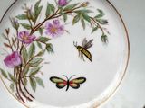 a plate with a picture of a butterfly and a bee on it