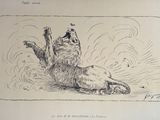 drawing of a cat rolling on its back on the ground