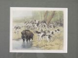 Photo 3/6 du lot