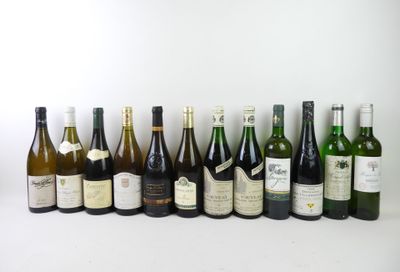 plusieurs bouteilles de vin sont alignées sur une surface blanche