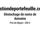 Photo 1/1 du lot