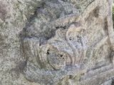 a stone carving of a lion on the side of a building