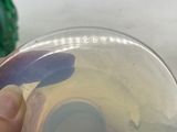 a person holding a plastic bowl with a fish inside of it