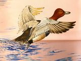 a painting of a duck flying over a body of water