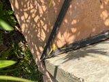 a bird that is sitting on a ledge in the grass