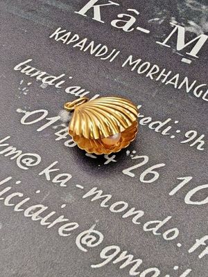 une image représentant un coquillage doré posé sur une plaque