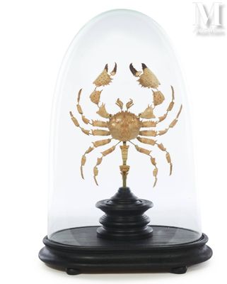 un gros plan d'un dôme en verre sous lequel se trouve un crabe doré