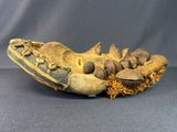a baseball glove with nuts in it sitting on a table