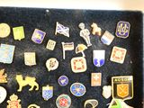 a display case with a lot of pins and badges