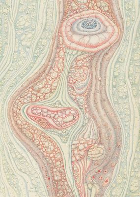 une image représentant le dessin du visage et du cou d'une femme