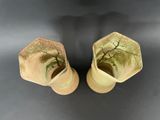 two vases with plants in them sitting on a table