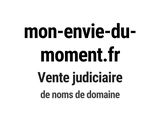 Photo 1/1 du lot