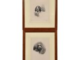 two framed pictures of a dog and a cat on a white background