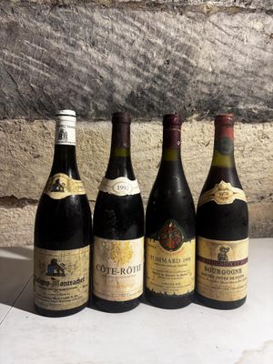several bottles of wine are lined up on a counter