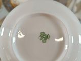 a person holding a white plate with a green frog on it