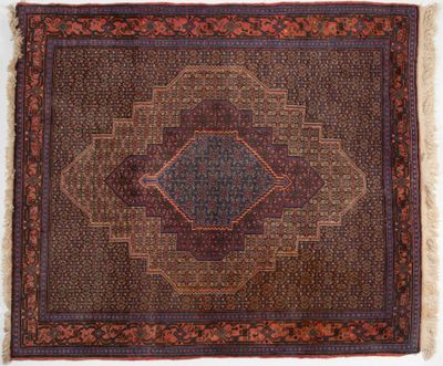 Tapis Bidjar (chaine et trame en coton, velours en laine), N…