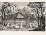 Photo 10/15 du lot