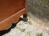 un oiseau posé par terre à côté d'une commode