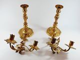 pair of antique brass candlesticks with flowers and leaves