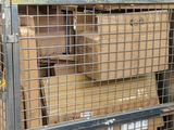 a metal cage with boxes on top of it in a warehouse