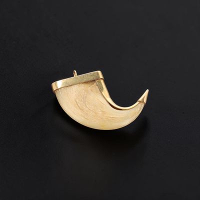 a close up of a gold plated horn shaped object on a black surface