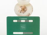 a small vase sitting on top of a credit card
