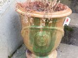 une plante en pot posée sur les marches d'un immeuble
