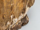 a piece of wood that has been scratched and chipped
