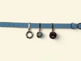 blue leather belt with four charms hanging from it