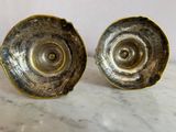 pair of antique brass shell salt and pepper shakers