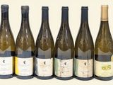 plusieurs bouteilles de vin sont alignées sur une surface blanche